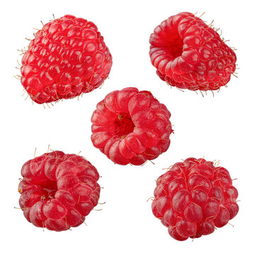 Juicy fresh red raspberries