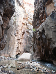 The narrows at Zion National Park Utah