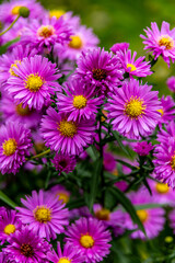 Unterwegs an der Landesgrenze zwischen Hessen und Thüringen im wunderschönen Eichsfeld zur Burg Hanstein bei Bornhagen - Thüringen - Deutschland