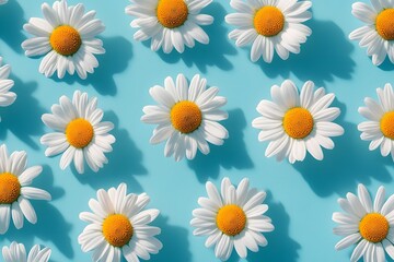 Obraz premium Daisy pattern on turquoise background