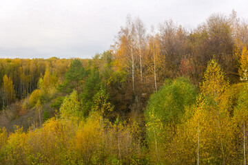 Fototapeta premium natural landscape, wooded hills with autumn trees in cloudy weather