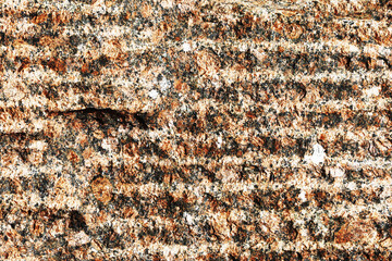 Fototapeta premium Abstract stone background for design.