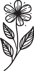 This is an illustration of flowers in a simple and modern line art style.