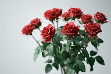 Obraz premium Red roses bouquet on white background