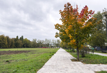 path of stone slabs of autumn leaves