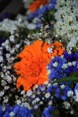 autumn flowers and leaves on the ground