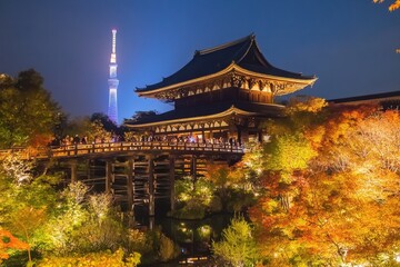 Naklejka premium Night view of the autumn leaves at Kiyomizudera castle in Japan, illuminated by colorful lights and surrounded by beautiful trees Generative AI