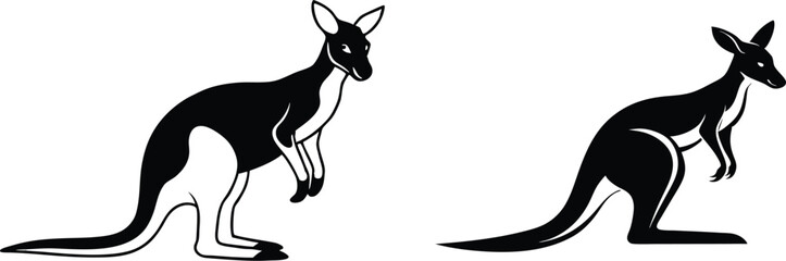 kangaroo illustration vector 