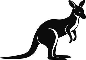 kangaroo illustration vector 