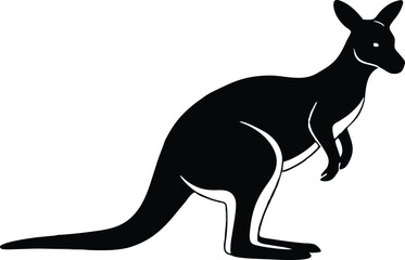 kangaroo illustration vector 