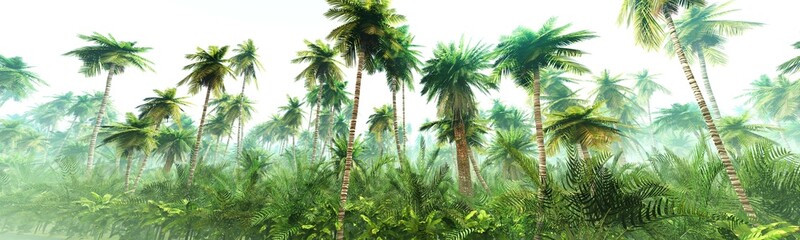 Jungle, rainforest during the plank, palm trees in the morning in the fog, jungle in the haze, 3D rendering