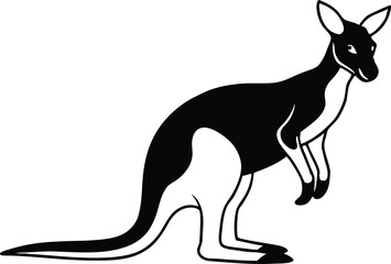 kangaroo illustration vector 
