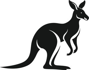 kangaroo illustration vector 