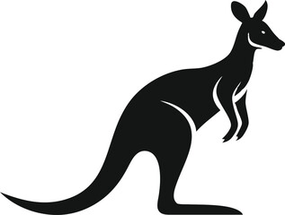 kangaroo illustration vector 
