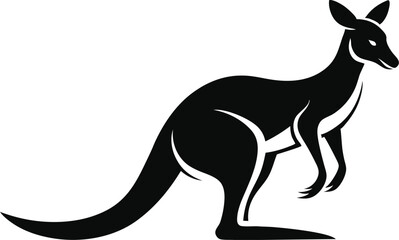 kangaroo illustration vector 