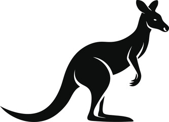 kangaroo illustration vector 