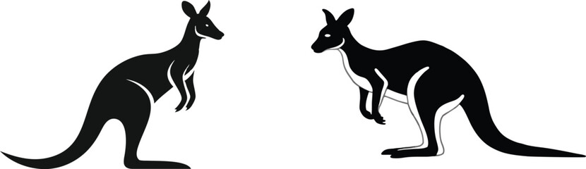 kangaroo illustration vector 