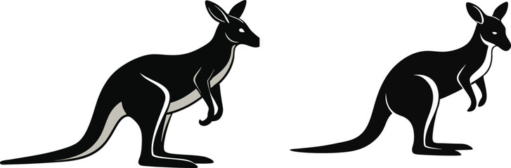 kangaroo illustration vector 