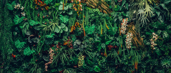 A lush green plant with a few red flowers. The plant is full of life and color. Concept of growth...