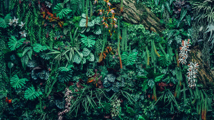 A lush green plant with a few red flowers. The plant is full of life and color. Concept of growth...