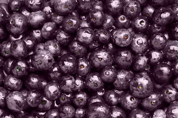 Wet acai berries as background, top view