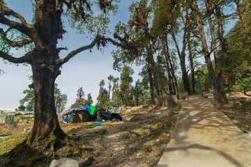 Scenic view of Sari village at Tungnath trek route. Tungnath temple, highest of the five Panch Kedar temples located in the Rudraprayag district, Uttarakhand, India.