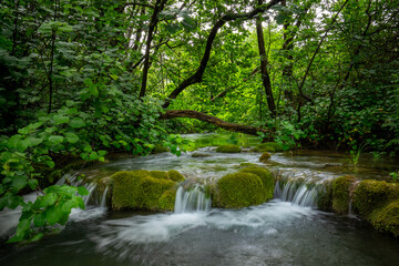 Ein Fluss fließt mitten durch einen dichten Wald mit vielen Bäumen und einigen Steinen im Wasser, die mit Moos bewachsen sind, aufgenommen im Krka Nationalpark Kroatien (Langzeitbelichtung)