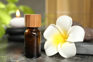 Spa composition with bottle of cosmetic product, plumeria flower and burning candle on grey table, closeup