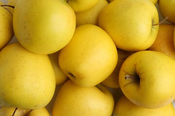 Fresh yellow apples as background, above view