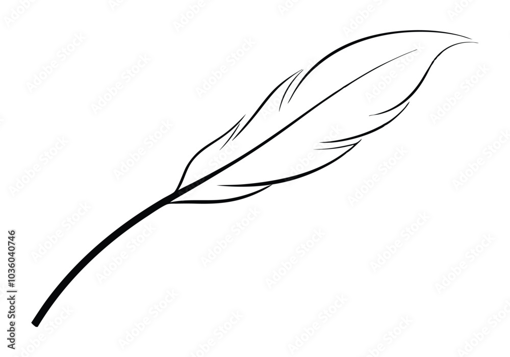 Fototapete continuous line art of a floating feather – elegant minimalist vector