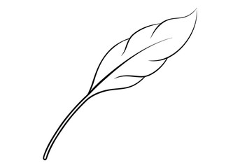 Continuous Line Art of a Floating Feather &ndash; Elegant Minimalist Vector