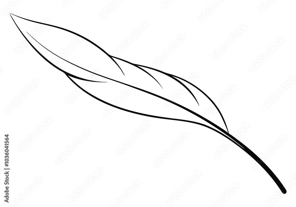 Fototapete continuous line art of a floating feather – elegant minimalist vector