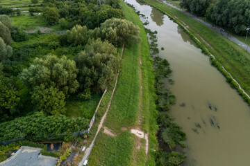 Aerial view of a lush green riverbank with trees and a calm water surface, showcasing nature's beauty and tranquility.