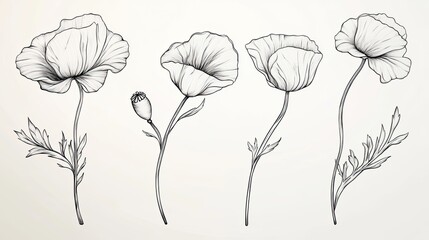 Naklejka premium Elegant Line Art of Poppy Flowers Showcasing Their Delicate Beauty Generative AI