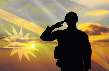 Silhouette of a soldier with a background of the Nauru flag and a sunset or sunrise. Concept of national holidays. Commemoration Day.