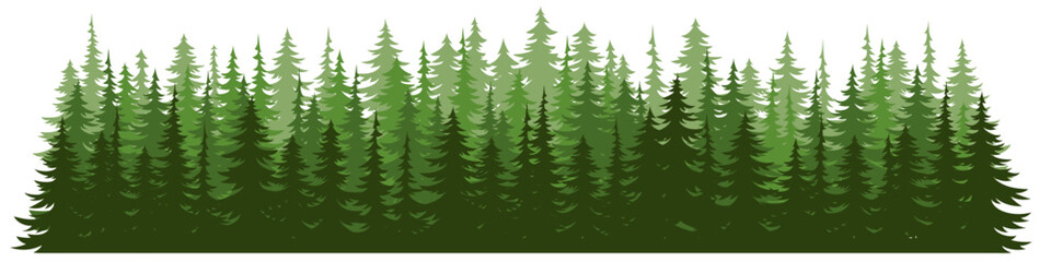 Forest fir trees silhouette. Coniferous spruce horizontal background. 