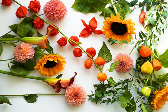 colorful autumn bouquet, top view. sunflower, eucalyptus and phaselis on a white background