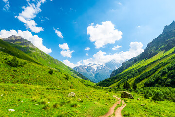 Beautiful high mountain landscape with a walking path, pine trees and a mountain peak in the background. Caucasus, Elbrus region.