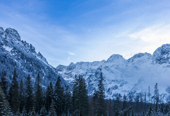A breathtaking view of snow-covered mountains under a clear blue sky, showcasing majestic peaks and lush evergreen trees. Perfect for nature lovers and landscape enthusiasts.
