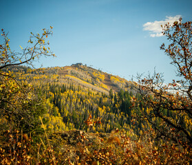 Fototapeta premium autumn in the mountains
