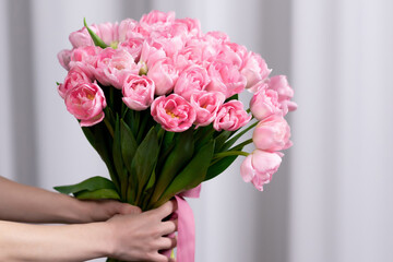 Spring flowers. Bouquet of pink tulips on a gray background. Decoration of flowers and ornamental plants, close-up, objects