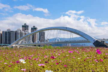 Sunny view of the Sunshine Bridge