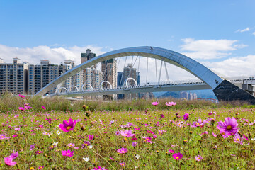 Fototapeta premium Sunny view of the Sunshine Bridge