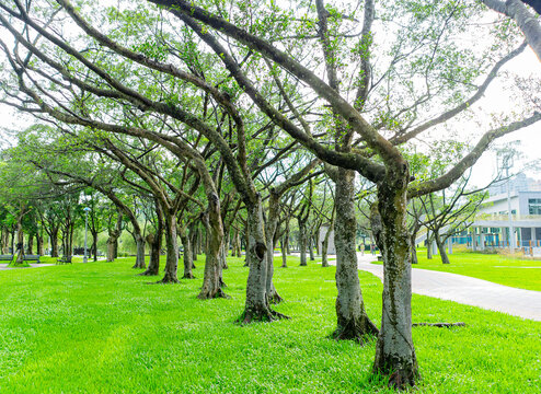 Beautiful landscape of the Dahu Park