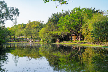 Sunny view of the landscape of Daan Forest Park