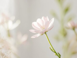 Soft Floral Background with Delicate Pink Blooms.