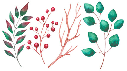 Collection of watercolor hand-drawn illustrations of various branches and berries. Illustration of watercolor various branches of seasonal plants. For wedding, birthday, children's party and Christmas