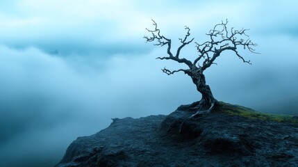 Obraz premium Beneath a veil of mist, a bare tree rises from a rocky cliff, silhouetted against a backdrop of soft twilight hues, evoking a peaceful yet haunting feeling in nature