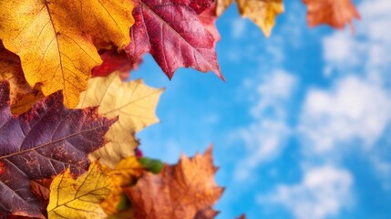 Brightly colored autumn leaves in various shades of red, orange, yellow, and brown create a picturesque view against a clear blue sky, capturing the essence of fall's beauty