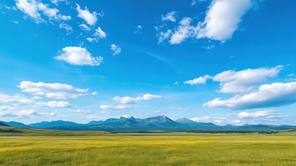 Obraz premium A wide panorama showcases a lush green meadow stretching toward majestic mountains under an expansive blue sky dotted with fluffy white clouds, capturing a serene daytime atmosphere